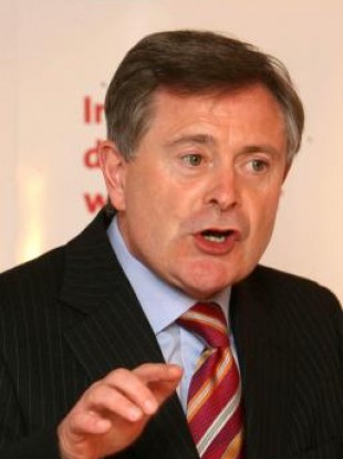 Minister for Public Sector Reform Brendan Howlin