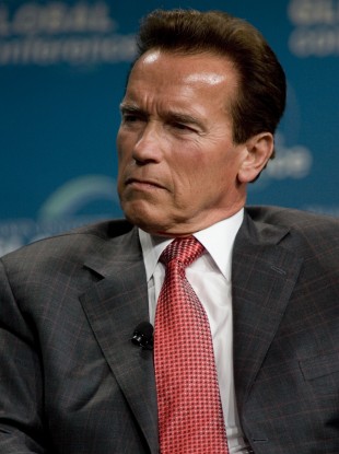 Not quite &#39;Twins&#39; but Schwarzenegger&#39;s two sons were born within days of each other - arniesons-310x415