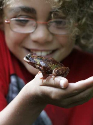 Joaquin Shinback from Malahide, County Dublin, checks out a common frog during the launch of Wild Child Day, which formed part of National Heritage Week 2010.
