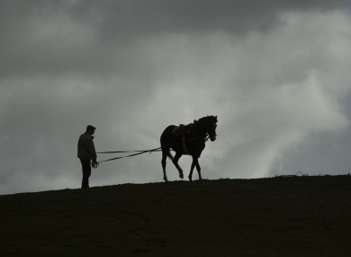 A man goes through the process of breaking in a horse, against a leaden sky on the Curragh Plains in County Kildare today.