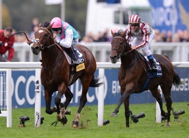 Frankel ridden by Tom Queally wins of the Qipco Champion Stakes from Cirrus Des Aigles.