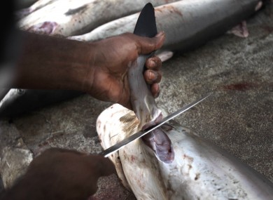 File photo of a worker cutting a shark fin at a fish market in Dubai.