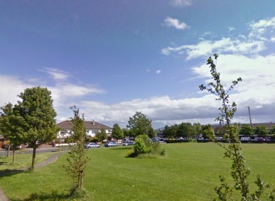 File photo of Palmerstown Park (not of actual scene)