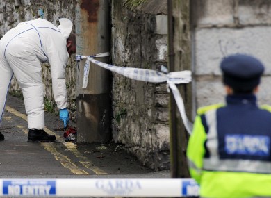 Gardai investigating the fatal shooting of Christopher Warren examine a lane in the Broadstone area near Constitution Hill.