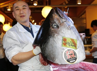 An employee of Kiyomura poses with the head of the giant tuna