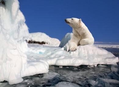 Global warming did not continue as quickly as some had feared over the last decade - but Earth still seems set to break its own targets for how quickly the polar icecaps will melt.
