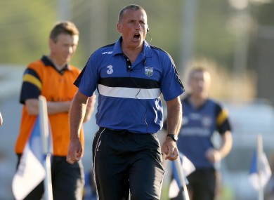 Waterford U21 hurling manager Peter Queally.