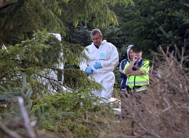 Gardai and members of the technical bureau pictured at the scene where human remains were discovered on Kilakee Mountain.