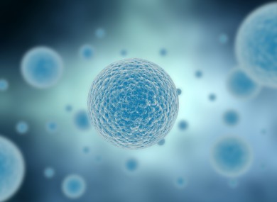 Cells