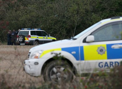 Gardaí at the scene in County Meath.