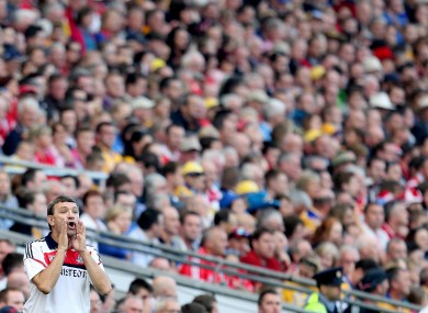 Cork manager Jimmy Barry Murphy.