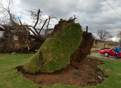 A tree was pulled out of the ground by the roots, collapsing onto a house after a tornado left a path of devastation through the north end of Pekin.