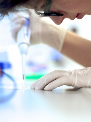 Immunologist working in lab