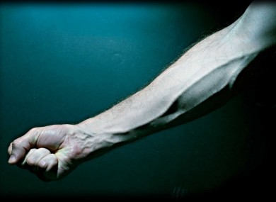 why do veins look blue why do veins look blue