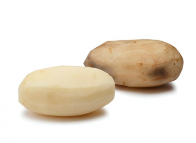 This undated handout photo provided by Simplot Corporation shows modified potatoes.