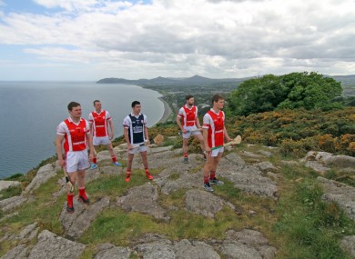 Some of the Cuala Senior hurling players.
