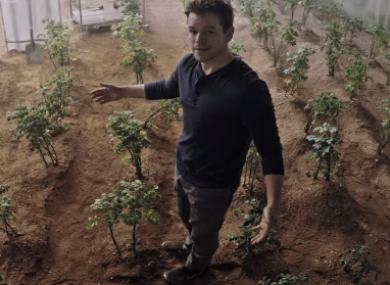 Matt Damon's character in The Martian managed to cultivate potatoes on the red planet.