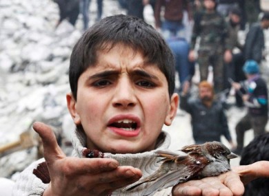 File photo of a Syrian boy holding a bird he said was injured in an airstrike in Aleppo.