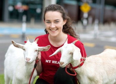 ‘Bóthar Ark’ to depart from Shannon