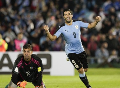 Luis Suarez celebrates after scoring for Uruguay in last night's World Cup qualifier against Venezuela.