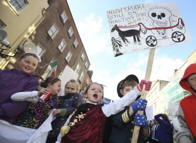 Travellers protest outside Leinster House in 2015.