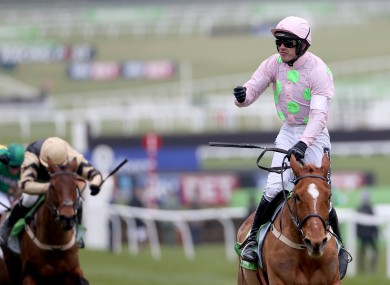 The Power and the Glory: After her 2015 heartbreak, Annie returned to win the Champion Hurdle in 2016.