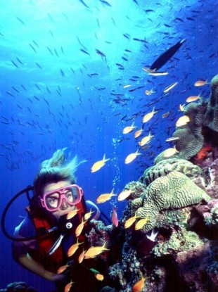 File photo of Great Barrier Reef