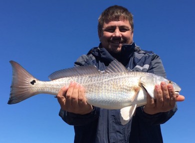DNA tests have confirmed the remains of Scott Van Zyl inside a crocodile.