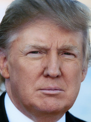 Donald Trump's Twitter account was key to his election victory.