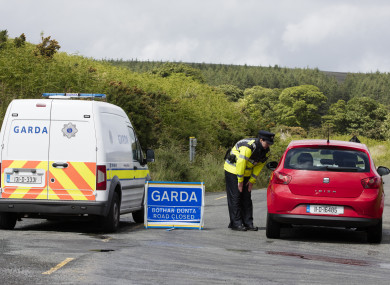 Patricia O'Connor's remains were found scattered around the Dublin/Wicklow mountains.