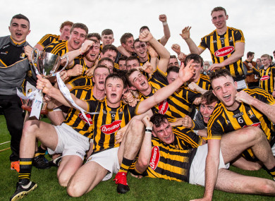 Kilkenny players celebrating their final win over Wexford.