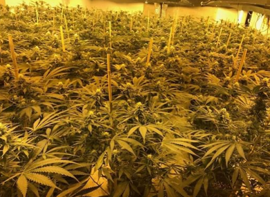 The bunker has been described as one of the the largest cannabis factories in the UK.
