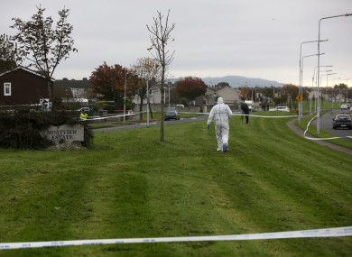 Forensic investigators examine the crime scene at Moatview Avenue.