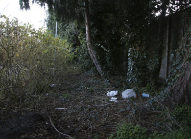 The area where the man was found unresponsive in Ranelagh.