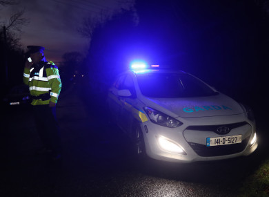 Members of the gardai at the scene where the body was found.