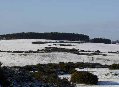 The Curragh Plains in Co Kildare yesterday.