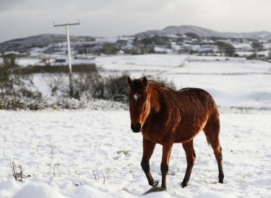 Wintry weather in Newry earlier this week