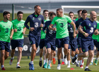 Ireland players train ahead of the France match.