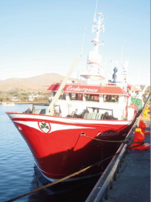 The bow of the ship