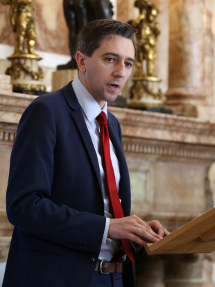 Simon Harris had sought a further inquiry into the hospital