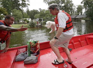 Susan Hedgepeth is assisted along with her dog Cooper by Coast Guard members