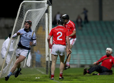 David Dempsey celebrates his goal for Na Piarsaigh.