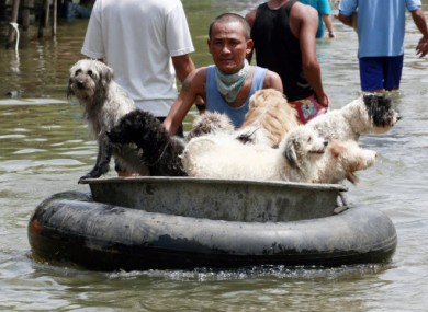 A man transports dogs on a raft made of a car tire during an evacuation after floods hit his village in Ayutthaya province, central Thailand, Wednesday, Oct. 12, 2011.