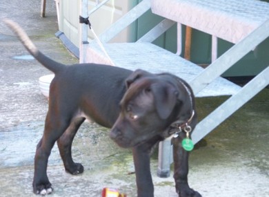Lennox