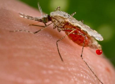 Controlling the number of mosquitos can reduce the spread of malaria.