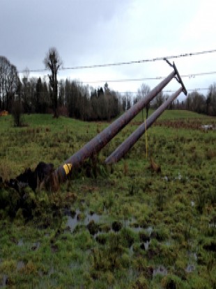 Fallen ESB pole.