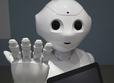 Humanoid Robot