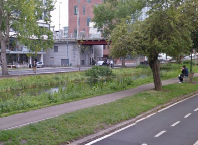 The Grand Canal, near Harcourt Terrace.