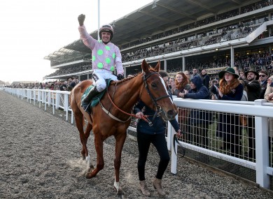 Limini won't take part in this year's Champion Hurdle.