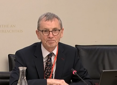 Dr. Gabriel Scally at today's Committee meeting.